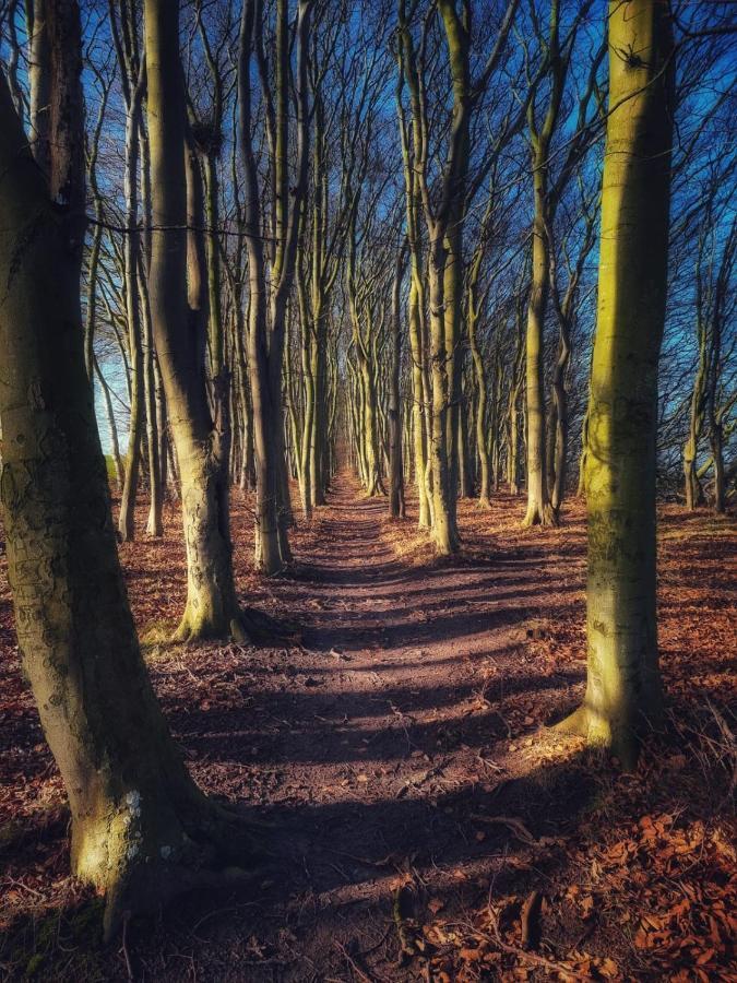 Ostseehaus Am Naturstrand - Arkonablick Villa Varnkevitz Dış mekan fotoğraf